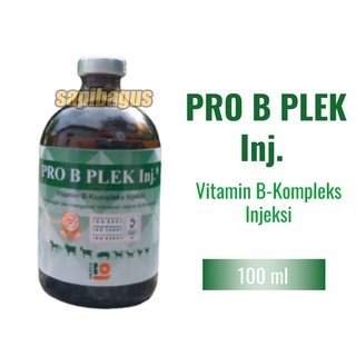 Image Pro-B-Plek-Injeksi---Sapibagus---Ruminansia.jpg
